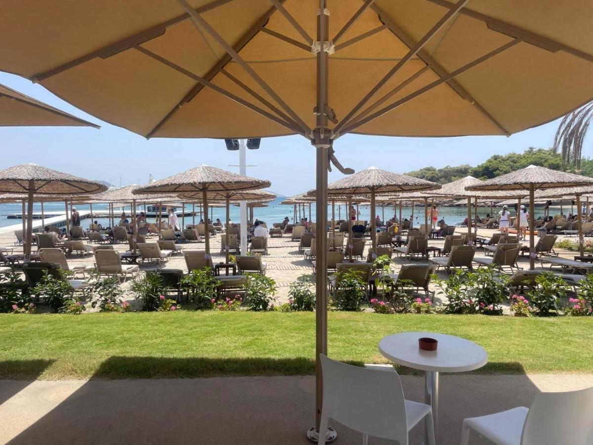 Eagles Nest Villa Athenian Riviera In Aghia Marina Near Lagonisi, Next To The Beach Close To Athens Airport Agia Marina  エクステリア 写真
