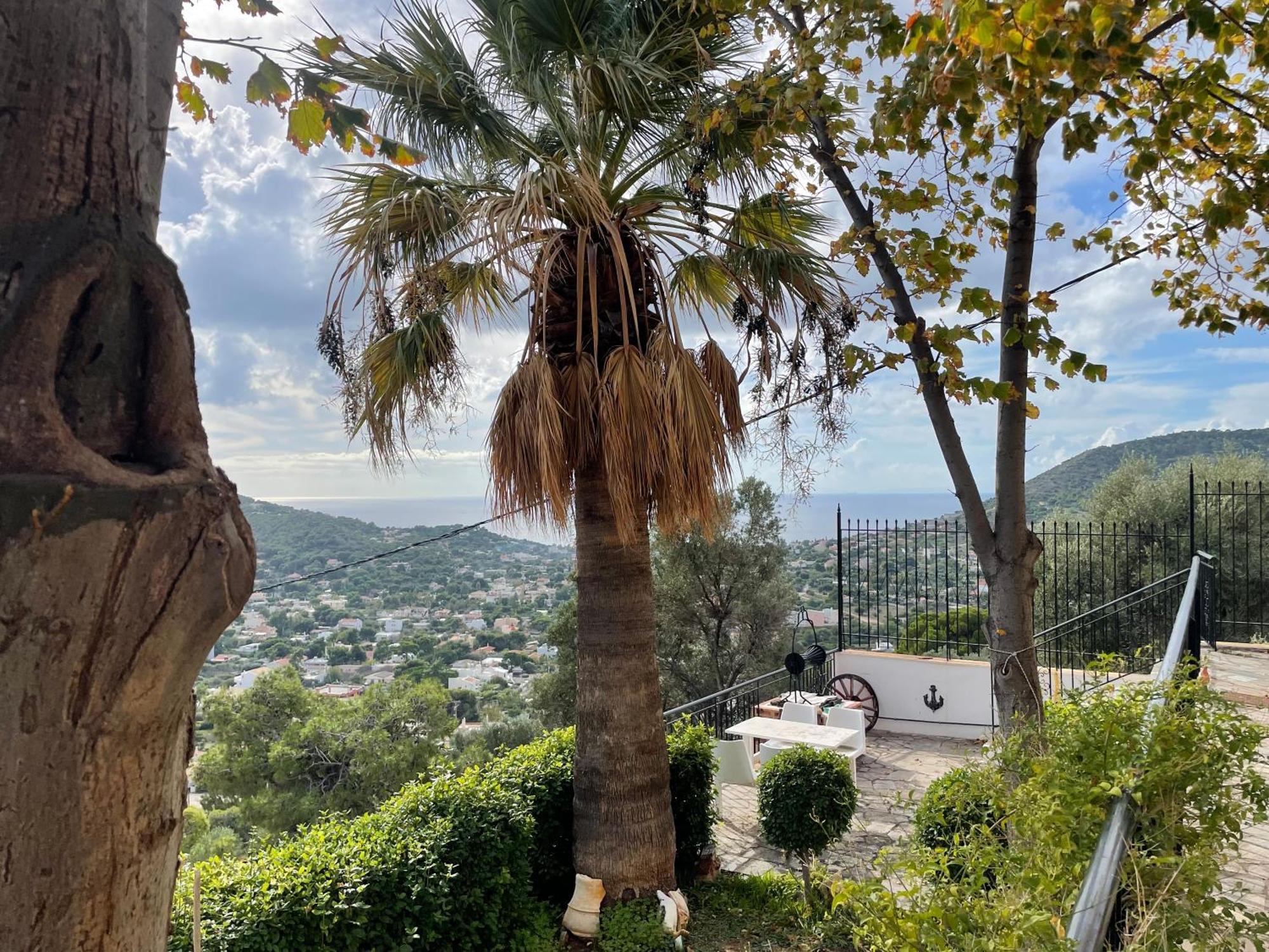 Eagles Nest Villa Athenian Riviera In Aghia Marina Near Lagonisi, Next To The Beach Close To Athens Airport Agia Marina  エクステリア 写真